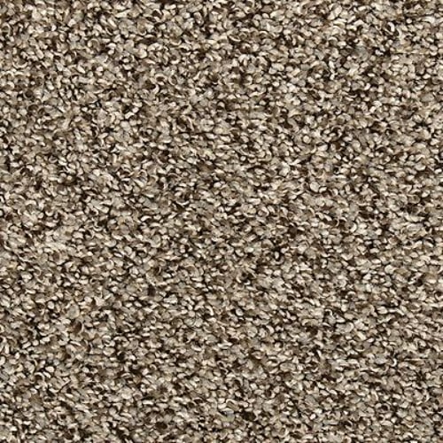 Vitalize I in Shimmer Ash Carpet