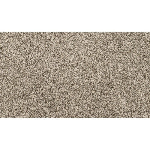 Purrsonality Ii in Cascade Carpet
