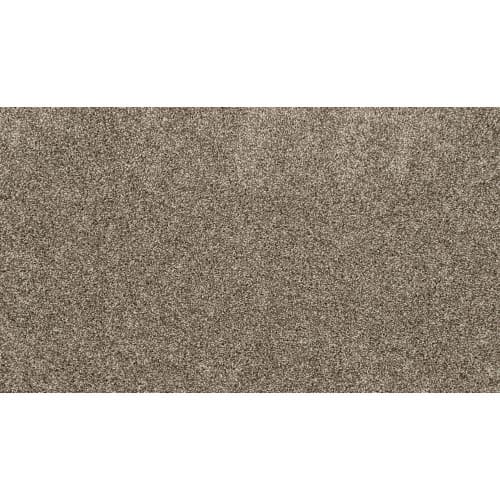 Diffurent Choice II in Gravity Carpet