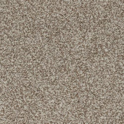 Apricity in Autumn Blaze Carpet
