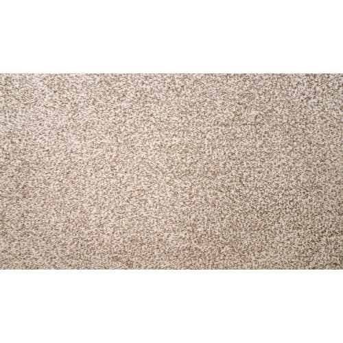 Natural Selection II