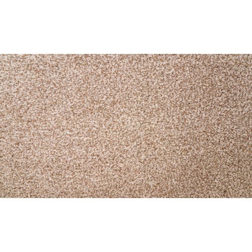 Natural Selection II in Atrium Carpet