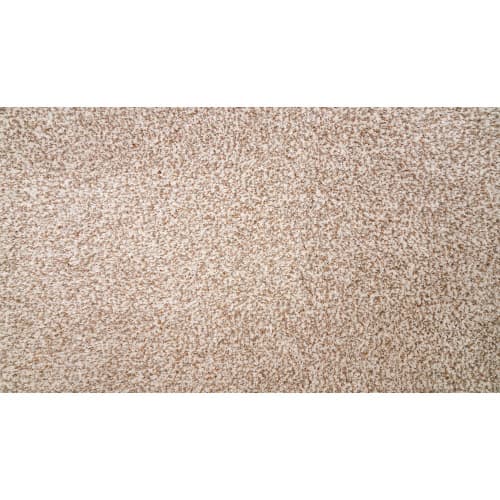 Natural Selection II