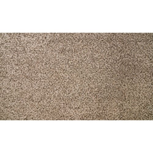 Natural Selection II