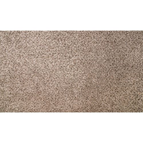 Natural Selection II