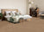 Assorted Elements I in Antique Brown Carpet