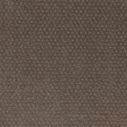 Dynamic Momentum in Charge Carpet