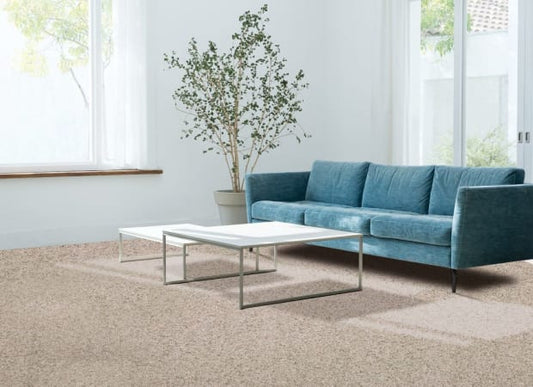 Canine Comfort in Bisque Carpet