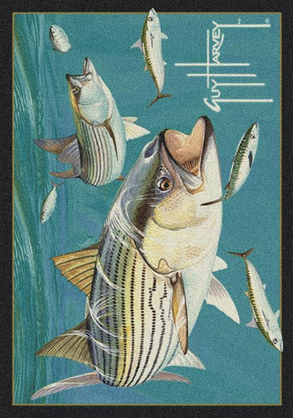 Striped Bass-628