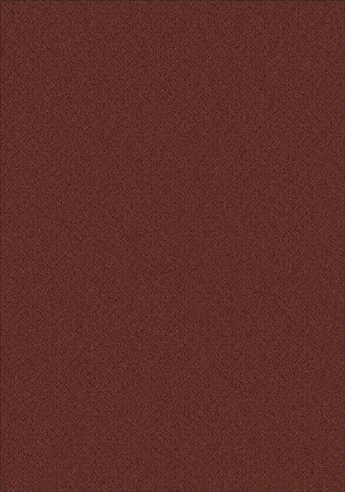 Viewpoint-Rustic Red Flooring by Milliken
