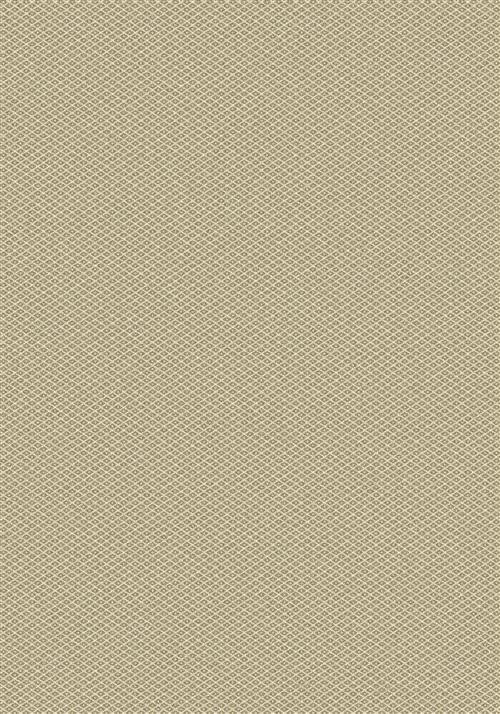 Parkdale-Elemental Flooring by Milliken