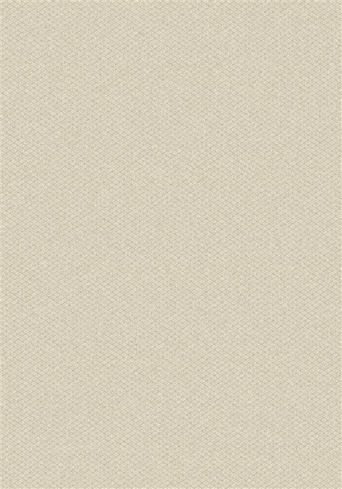 Parkdale-Frost Flooring by Milliken