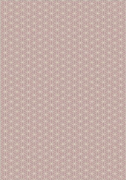 Lucida-Orchid