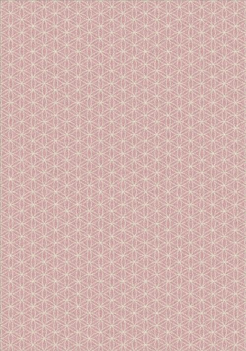 Lucida-Pink Slipper