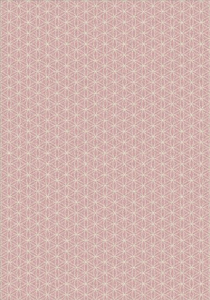 Lucida-Pink Slipper