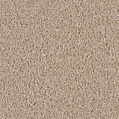 Star Struck in Sand Carpet