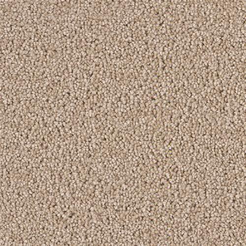 Star Struck in Sand Carpet
