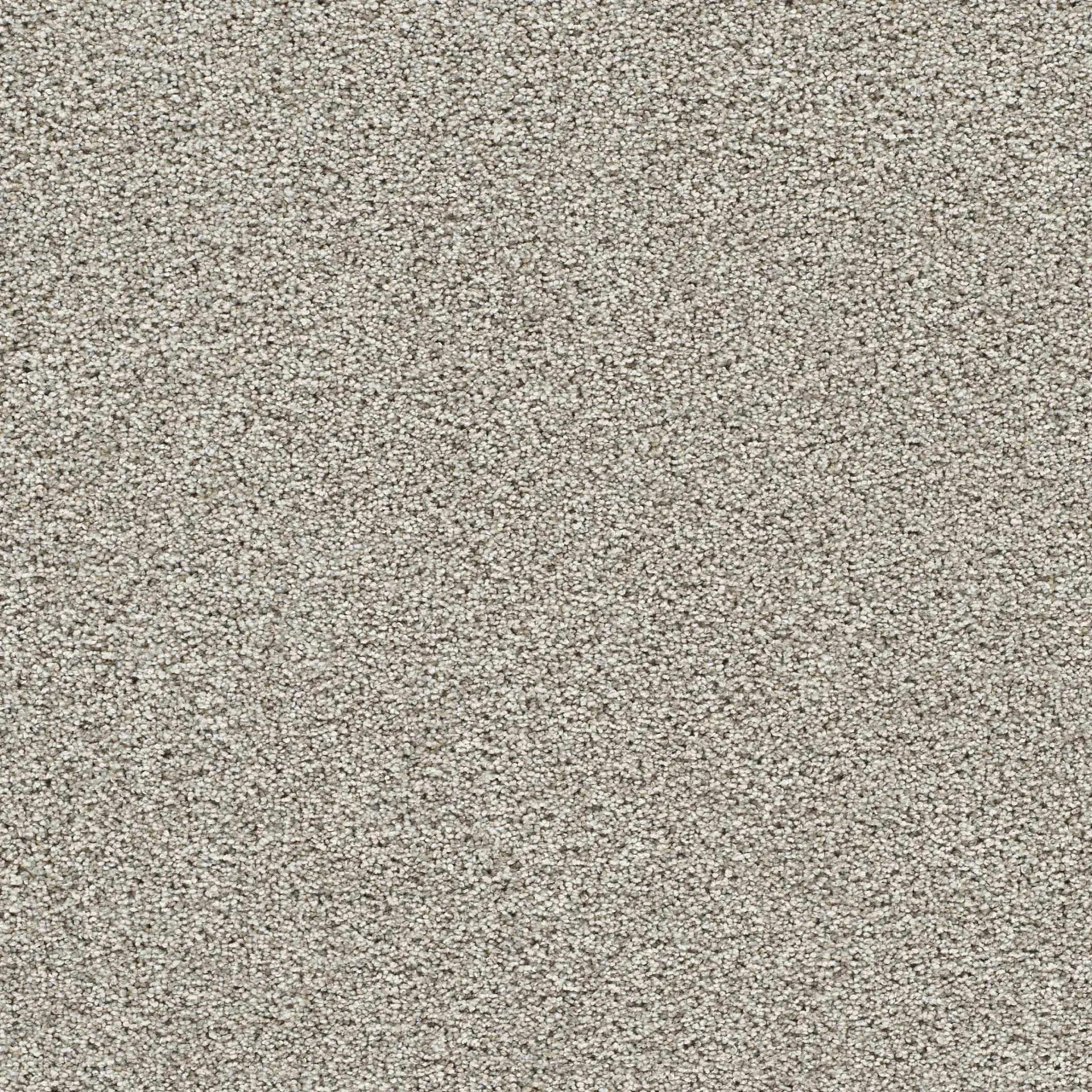 Lucky Penny I in Pine Cone Carpet