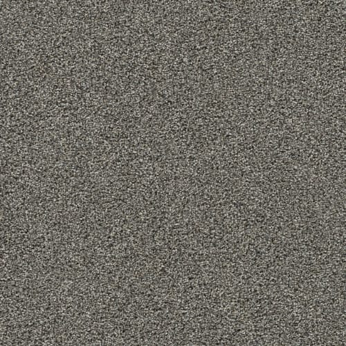 Gold Standard III in Graphite Carpet