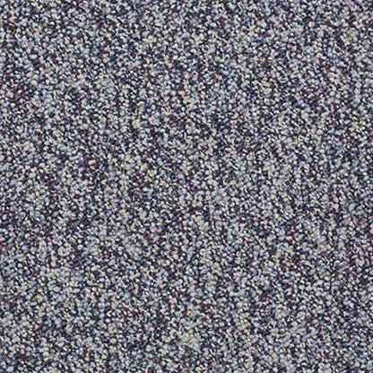 Freedman in Plum Carpet