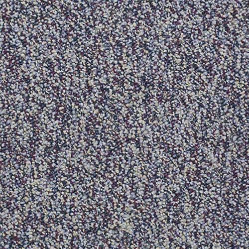 Freedman in Plum Carpet