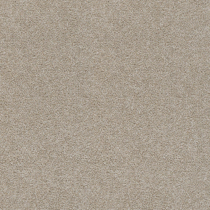 Rock Solid I