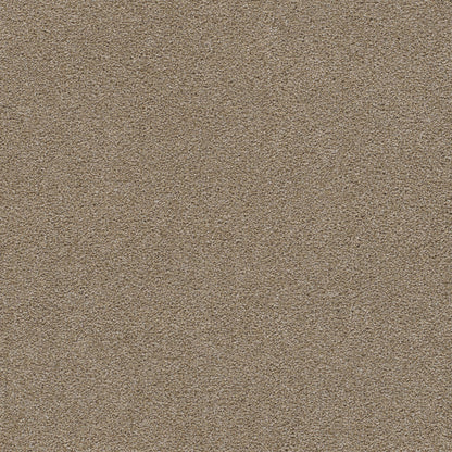 Rock Solid I
