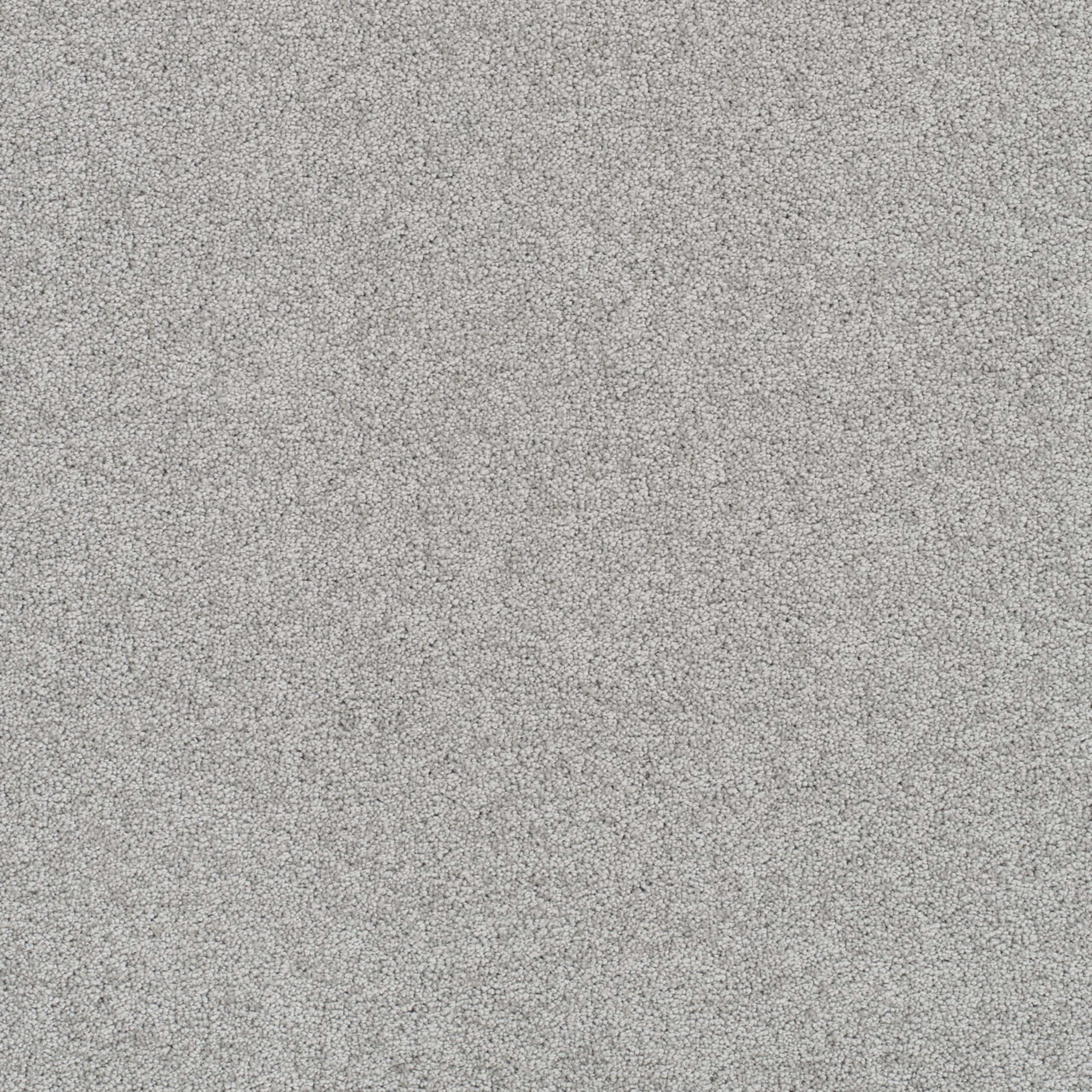 Rock Solid III in Icicle Carpet