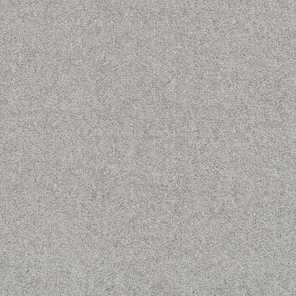 Rock Solid III in Icicle Carpet