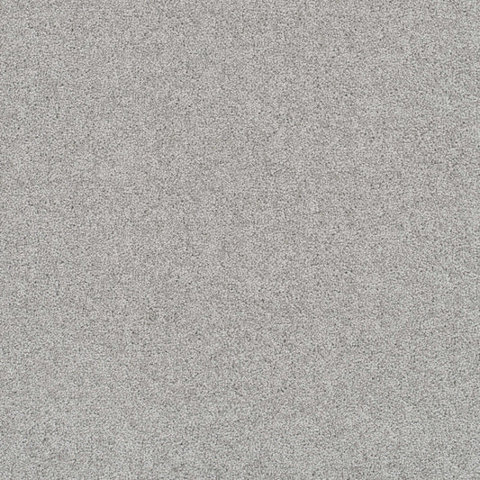 Rock Solid III in Icicle Carpet