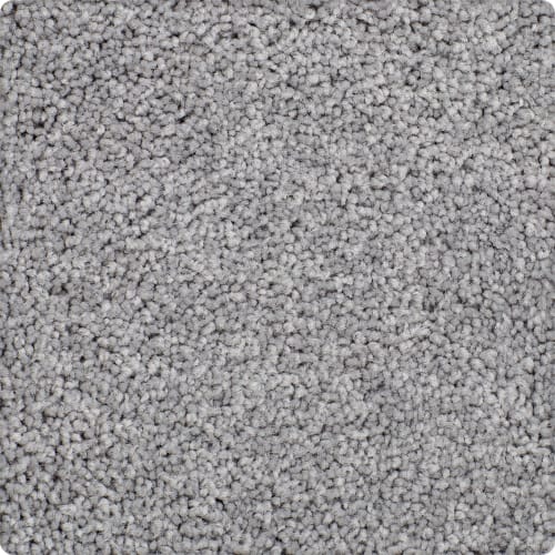 Essential Flair in Stardust Carpet