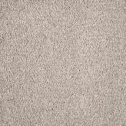 Debonair Invitation in Refined Carpet