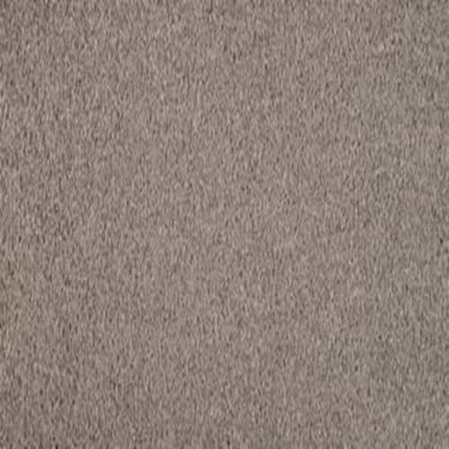 Debonair Invitation in Mystique Carpet