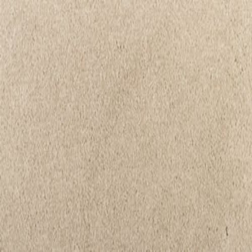 Delightful Dream in Natural Carpet