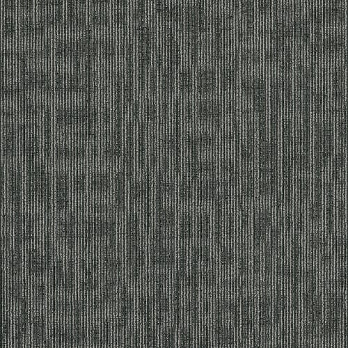 GENIUS in Sharp Carpet