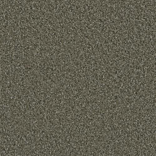 Dazzling in Peppercorn Carpet