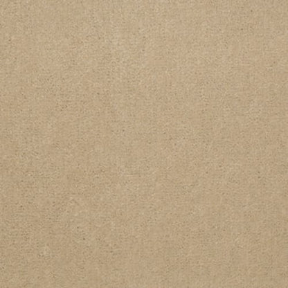 Copper Hill 30 in Bleached Pine Carpet