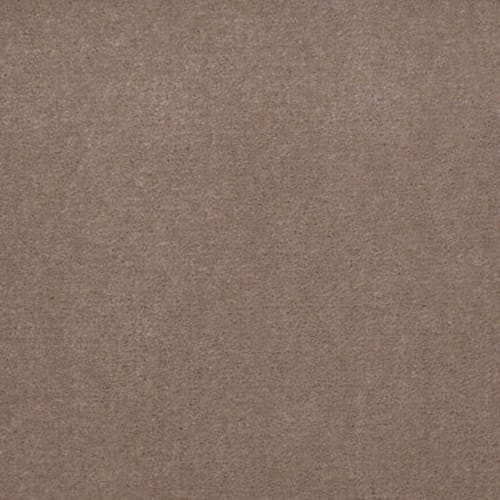 Loyalist 36 in Argyle Carpet