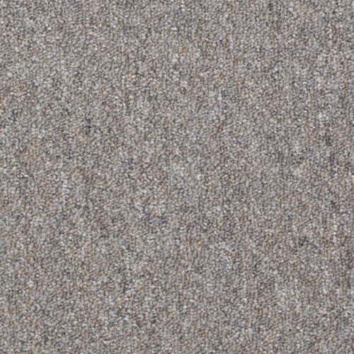 Scholarship in Chateau Gray Carpet