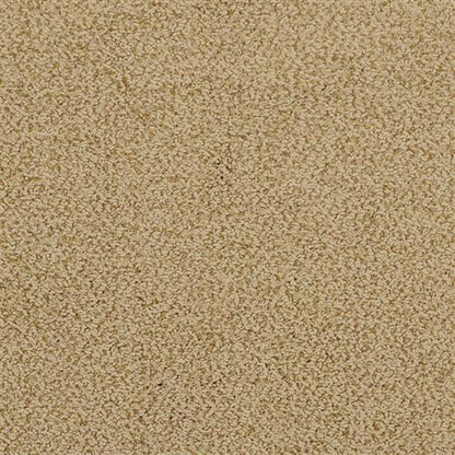 Breakers in Autumn Gourd Carpet
