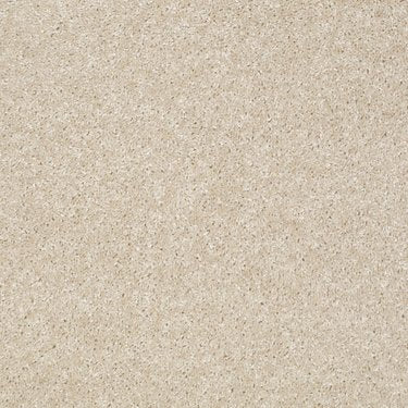 Textured Collection