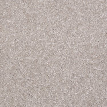 Textured Collection