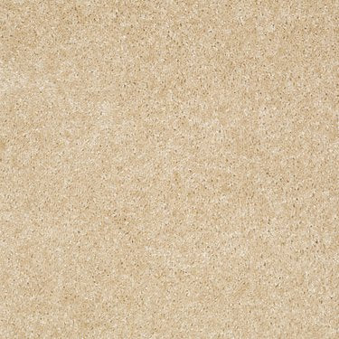 Textured Collection