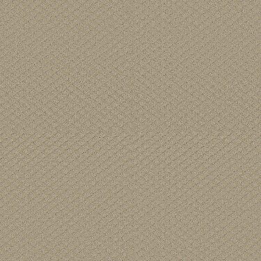 Padova in Carpet Flooring