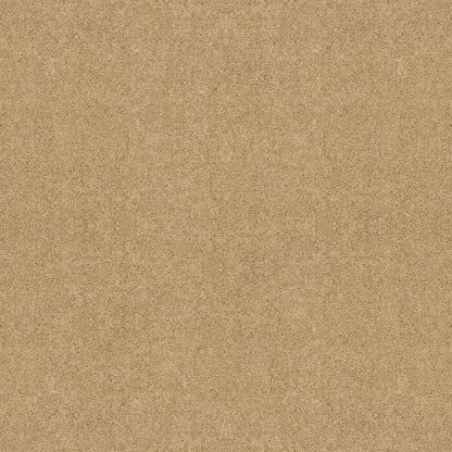 FULL COURT 12' in Crumpet Carpet