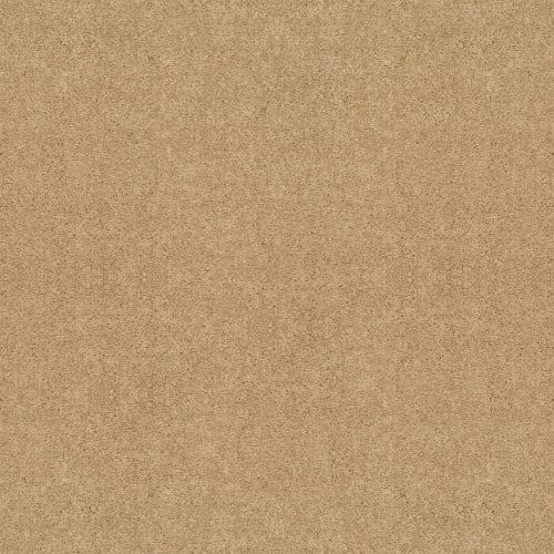 FULL COURT 12' in Crumpet Carpet