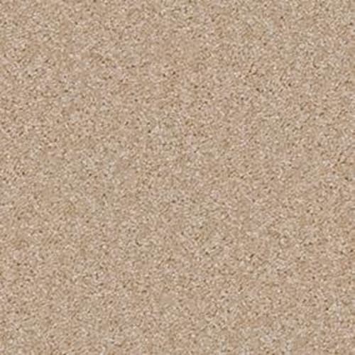 Textured Collection in Toasted Coconut Carpet