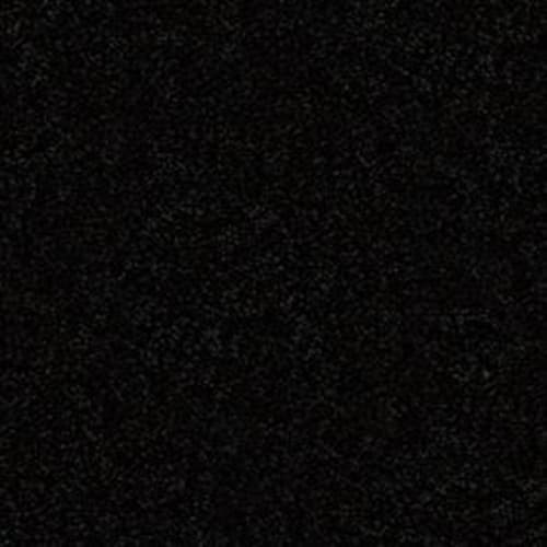 Textured Story 12 in Coal Black Carpet