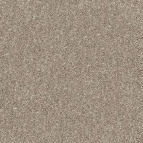 Essay II 12' in Fawn Carpet