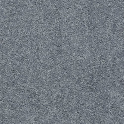 Essay II 15' in Flannel Carpet